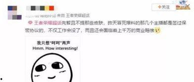 王在在事件后续爆料视频,揭秘惊人内幕与真相大白